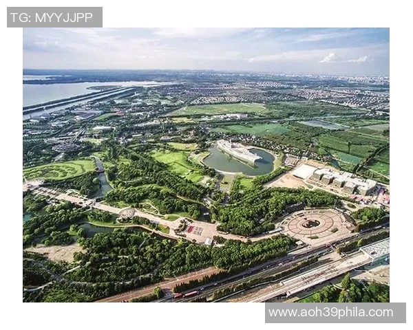 上海篮球队转型之路的真实记录与发展历程探讨 上海篮球队转型之路的真实记录与发展历程探讨