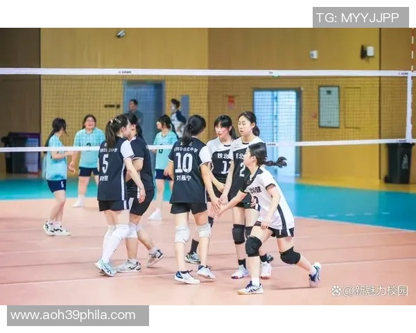 2026排球节奏排行榜：南京排球队位居第4名