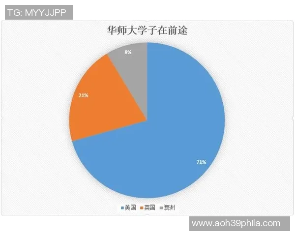独家分析：深圳网球队的团队协作对比