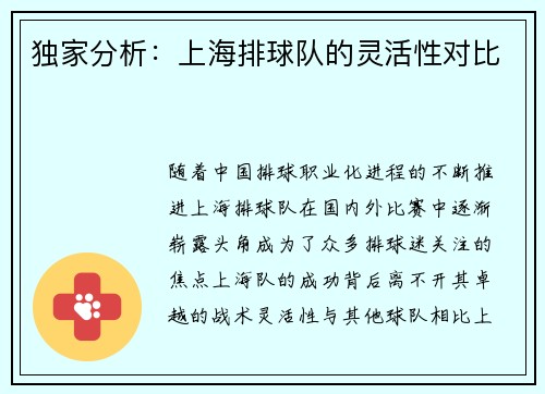 独家分析：上海排球队的灵活性对比