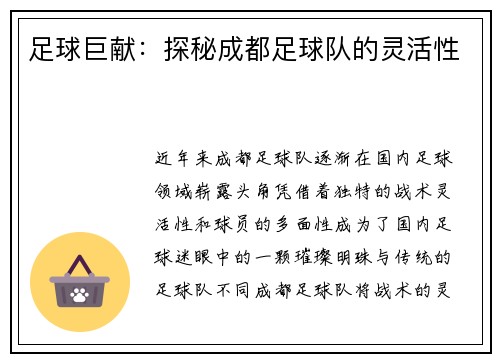 足球巨献：探秘成都足球队的灵活性