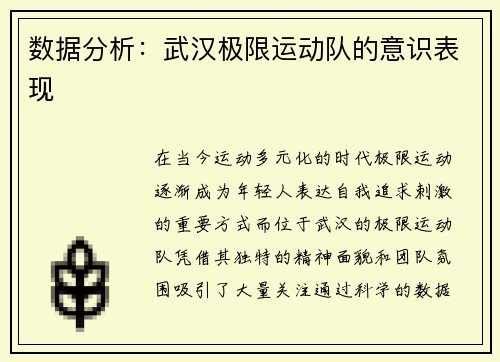 数据分析：武汉极限运动队的意识表现