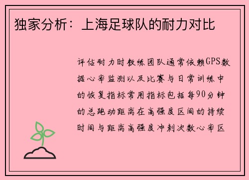 独家分析：上海足球队的耐力对比